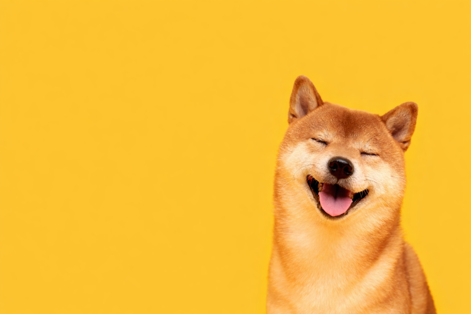 Dogecoin to reach $0.16 at any point before January 20, 2026