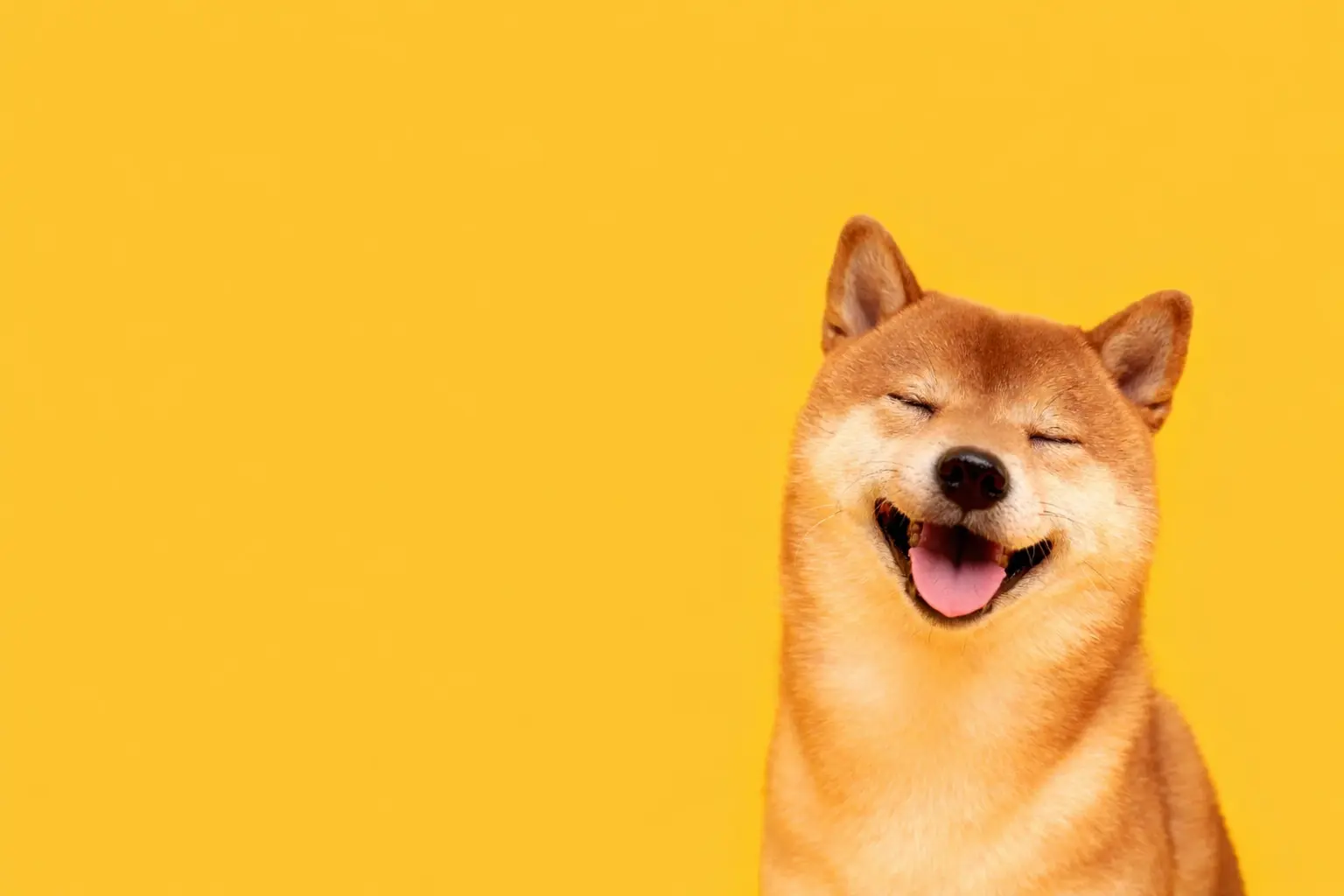 Dogecoin to reach $0.16 at any point before January 20, 2026